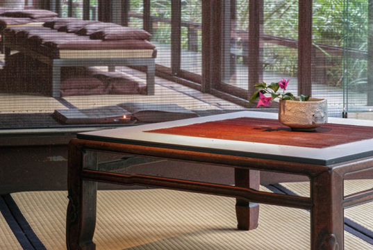 An indoor setting featuring a table with flowers in a vase.