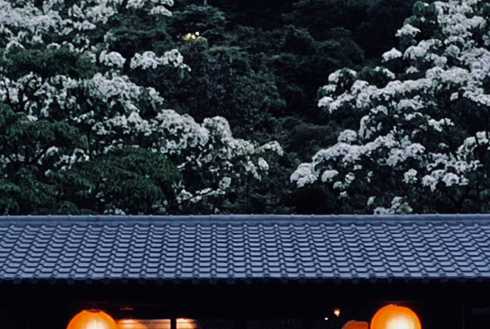 winter scene